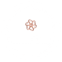 Bruxford Logo